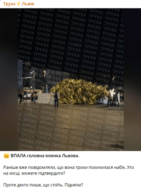 Во Львове упала елка