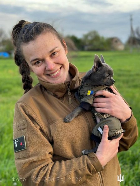 зсу, собака, вiйна