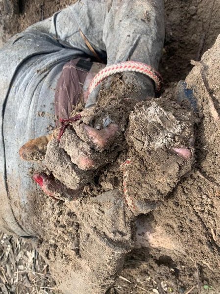 Калинівка, тіла зі зв'язаними руками, країна – спонсор тероризму