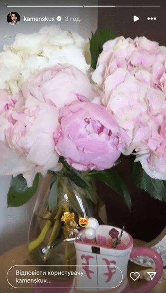 настя каменських