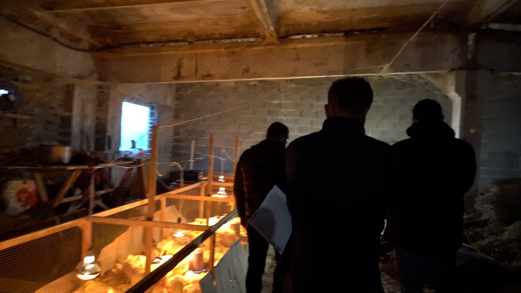 рабство, переселенці, Львівщина рабство, переселенці, Львівщина