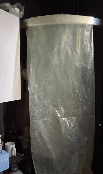 саша доценко про квартиру