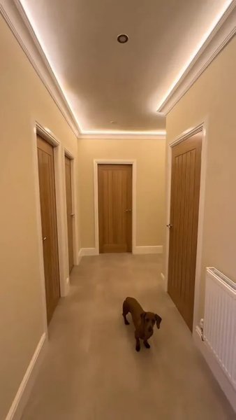 Британське подружжя перетворило занедбаний автосалон на сучасний п"ятикімнатний будинок для сім"ї