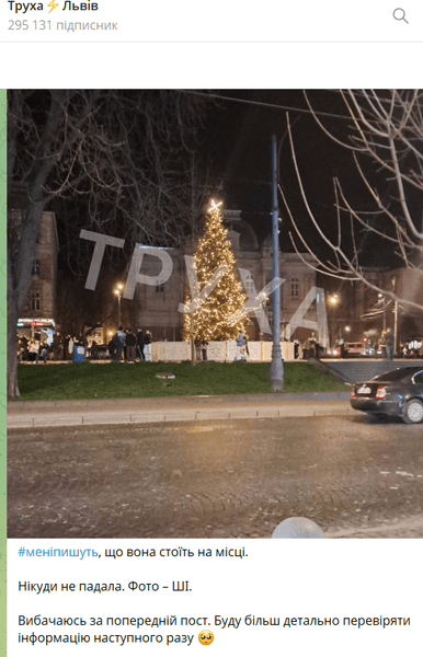 У Львові впала ялинка