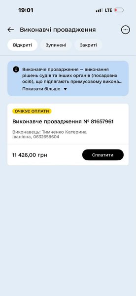 Скриншот провадження