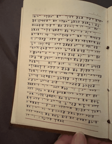 Девушка придумала код, секретный код, в детстве создала секретный код, расшифровали спустя годы, азбука Морзе, язык шифрования, записка дневника