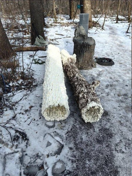 Россияне придумали маскировку в искусственных бревнах деревьев