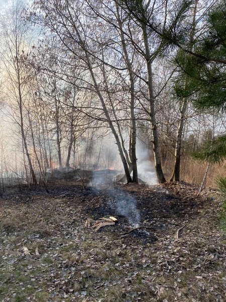 Киев, пожары, шашлыки, грязный воздух, дым