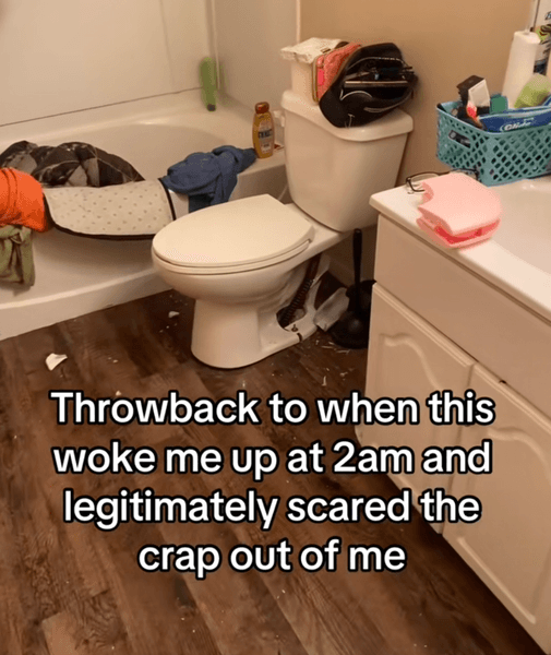 Ванная комната с унитазом, в котором поврежден фарфор и виден сантехнический трос, напугавший женщину в 2 часа ночи