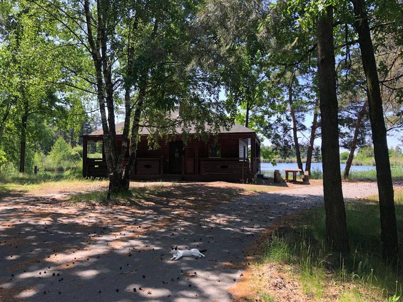 Вартість нерухомості становить понад 303 мільйони гривень