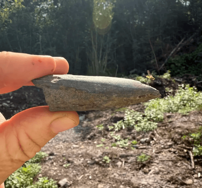 Знахідки десонструють зміни у кам'яній добі