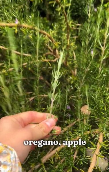 Что будет, если не мыть голову целый год, Джорджия Пек провела необычный эксперимент