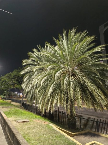 Infinix Note Edge фото Фото на Infinix Note Edge ночью