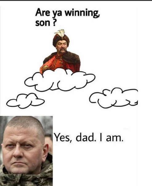 Мем із Валерієм Залужним, фото