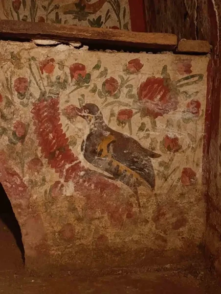 Находка является редкой для Анатолии