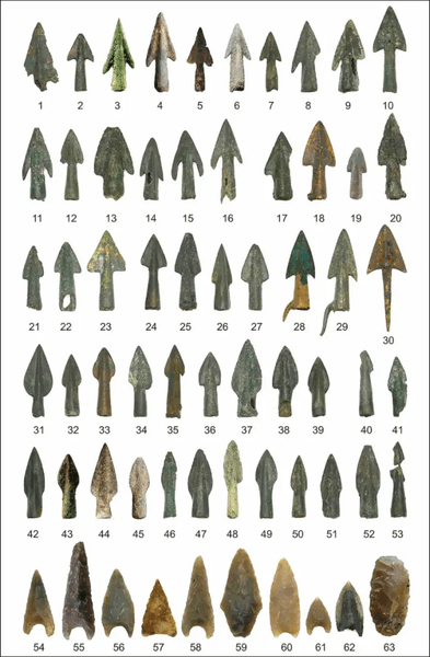 археологи, археология, раскопки, Толлензе, долина, наконечник, стрела, Германия, конфликт, битва, находка, бронзовый век, регион, острие, воины