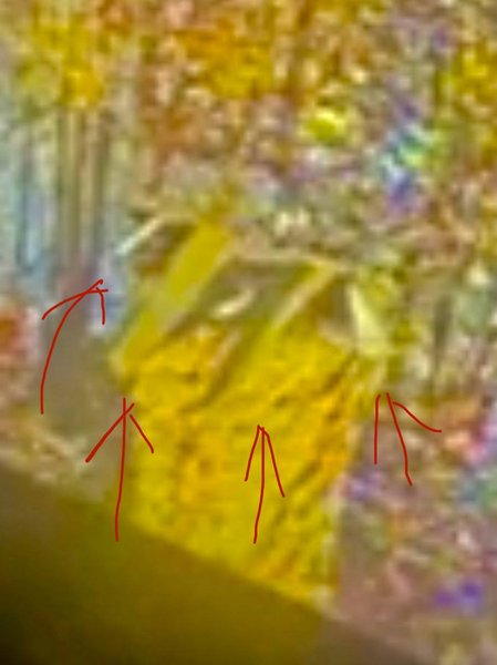 дрон глушилка, рэб, дроны