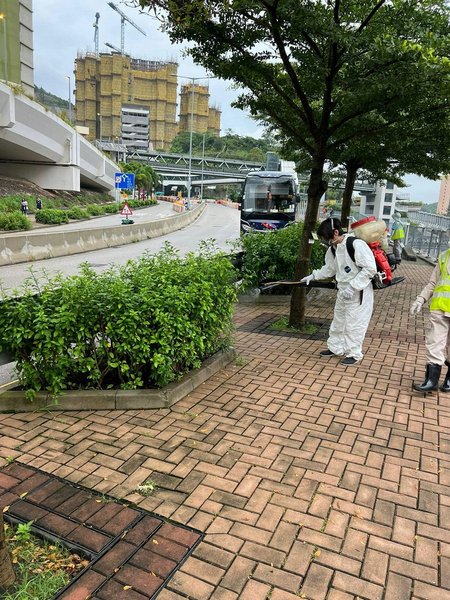 вирус чикунгунья, китай