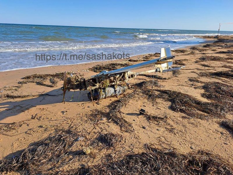 бпла, дрон, беспилотник,  дрон-камикадзе, ударный дрон, порт кавказ, бпла крымский мост