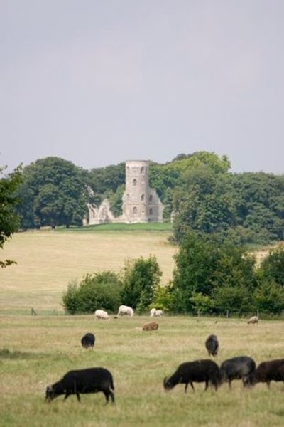 Заброшенная деревня, поместье, община, история, парк, история, обрабатывали землю, поселение