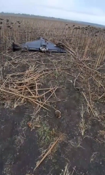 шахед шахед, одесская область, шахед в поле