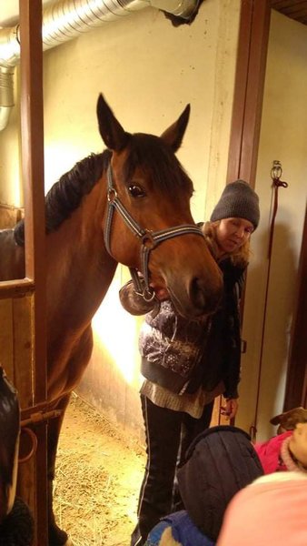 конный клуб, конный клуб киев, лошади, помощь животным