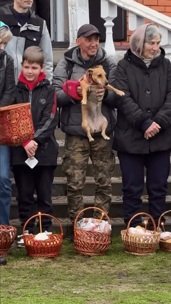 собака паска