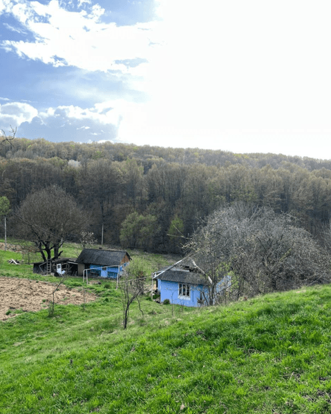 Дом в деревне в Прикарпатье