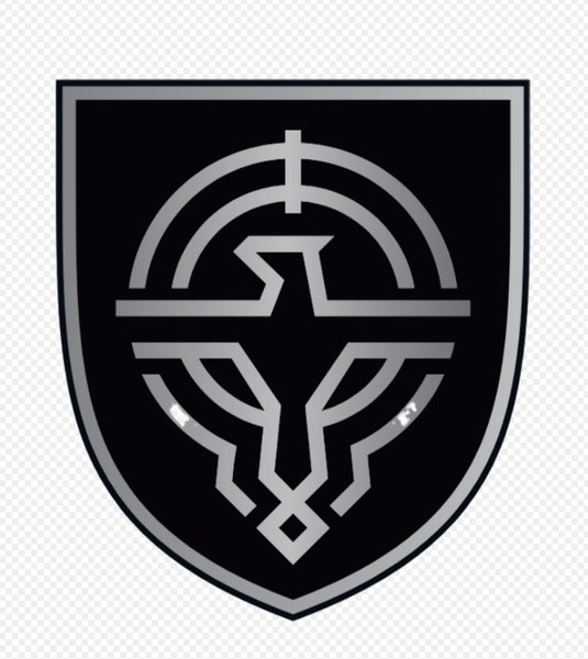 Эмблема Сил беспилотных систем