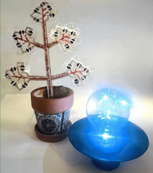 Растение для генерации электроэнергии и очищения воздуха