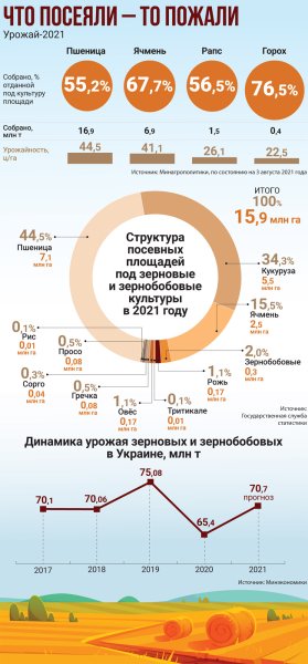 инфографика: урожай 2021 урожай 2021, стоимость пшеницы, структура экспорта