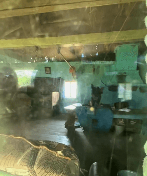 Хата зі стріхою у Карпатах