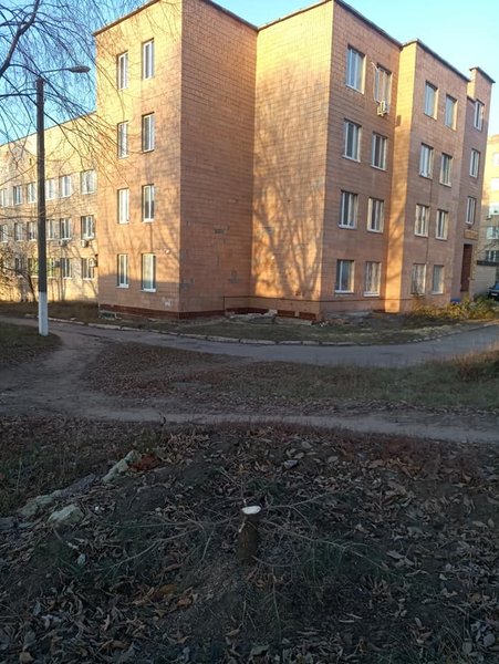 Срубленные елки под Харьковской областной клинической детской больницей №1