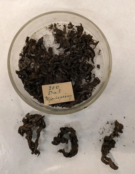 Йортспрінгський човен мотузка