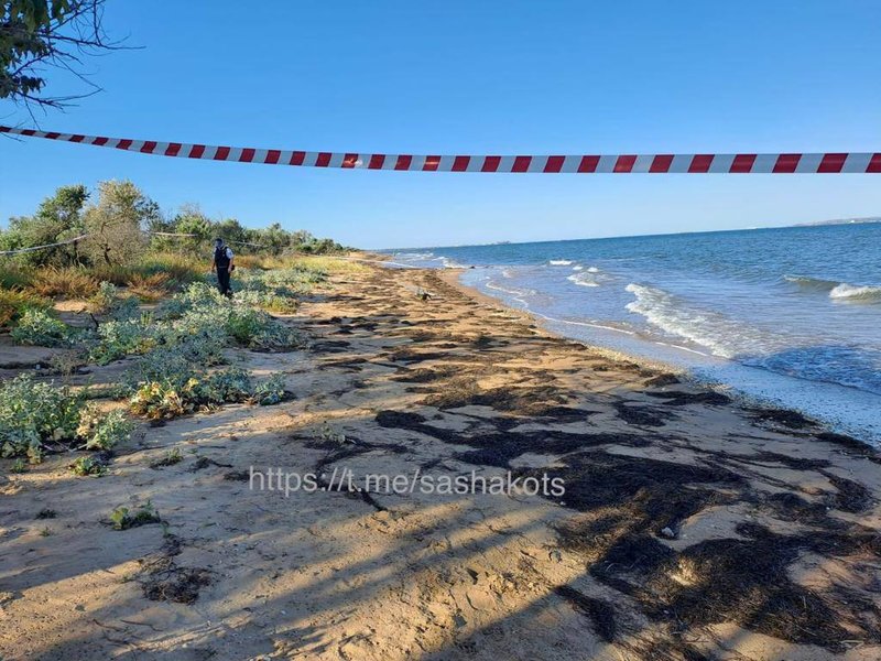 бпла, дрон, беспилотник,  дрон-камикадзе, ударный дрон, порт кавказ, бпла крымский мост