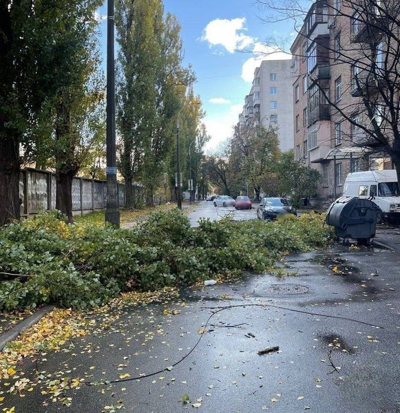 Инцидент в Киеве, непогода в Киеве, ветер, 4 ноября, дерево, Патрульная полиция