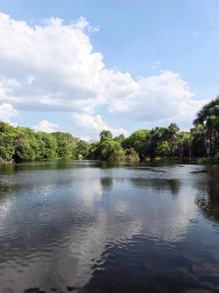 Фото на Infinix Note Edge вдень