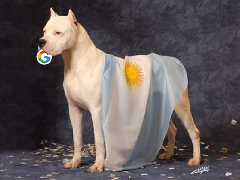 мемы про гугл