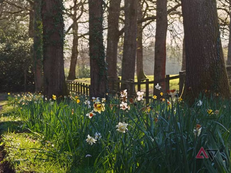 Фото на Oppo Find X9 Ultra