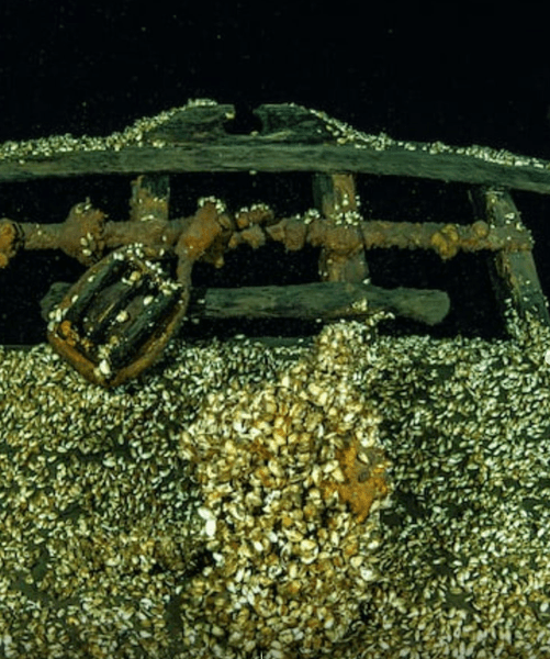 Водолази изследват останките на древен кораб. Водолаз изследва потънала шхуна на дълбочина 90 метра в езерото Онтарио.