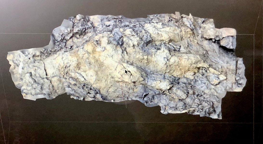 след, динозавр, Йоркшир