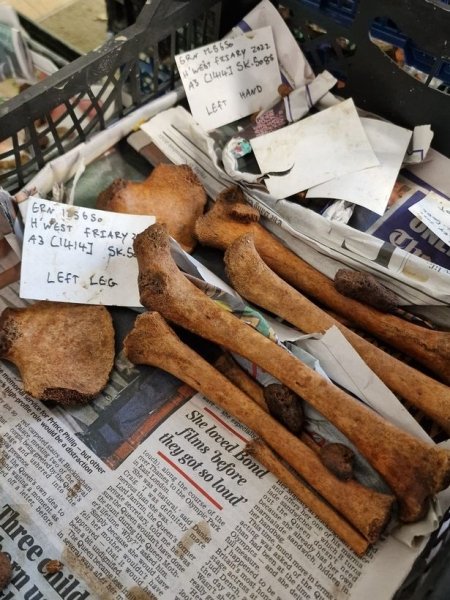 кости останки, захоронения, находки