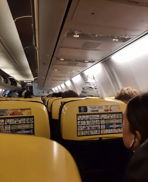 Статуя Діви Марії в літаку, статуя, Діва Марія, з'явилася Діва Марія, проніс у літак статую