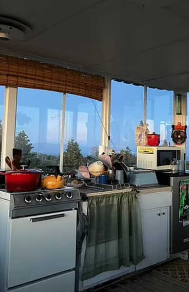 Робота мрії, жінка поселилась у пожежній будці високо в горах, життя у лісі, Кортні Макінтош, США, крихітний будинок, фото