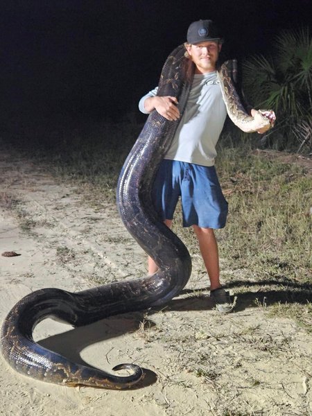 Охотники на змей, 90-килограммовый питон, огромный питон, поймали огромную змею, боролись 45 минут, поймали монстра, охотники