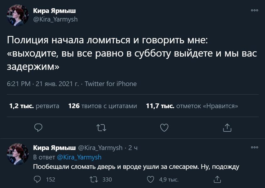 Твитт, Кира Ярмыш, задержание, навальный