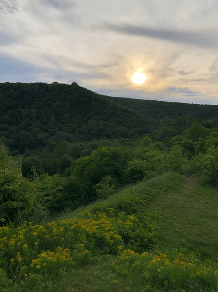 Урочище в Україні