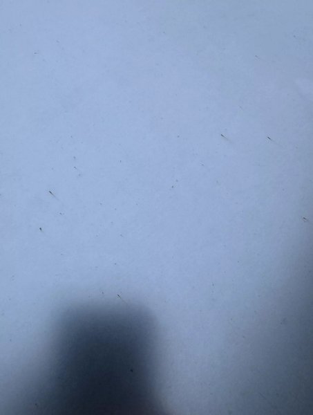 Tesla Cybertruck ржавчина, пикап Tesla Cybertruck, новая Tesla Cybertruck