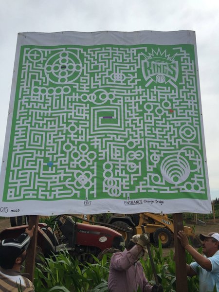 лабиринт, схема, кукуруза, калифорния