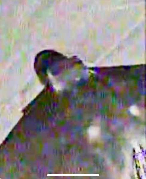 Модернізований дрон Шахед